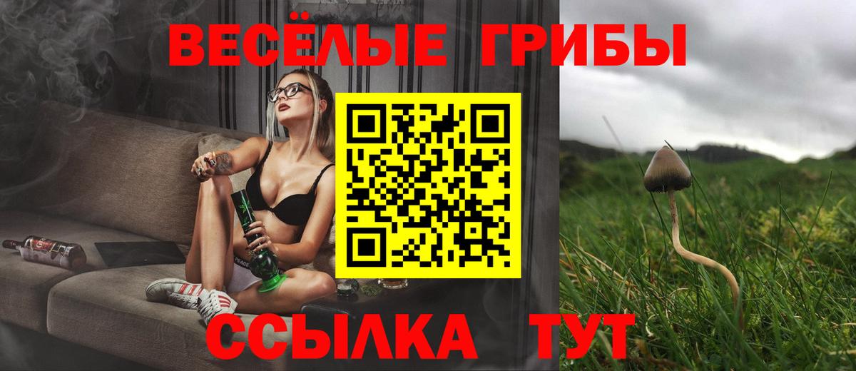 Галлюциногенные грибы прущие грибы Костомукша